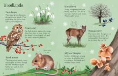 Things to Spot in Winter