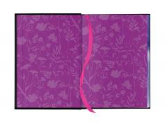 Fairy Tale Retellings - Book 1