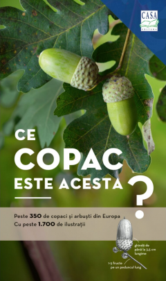 Ce copac este acesta?