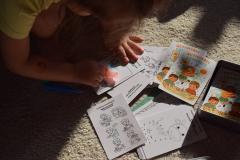 Joc de carti pentru copii - Activitati zanatice