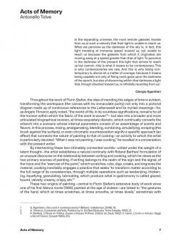 Florin Stefan. Works 1984-2025