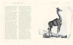 On the Origin of Species