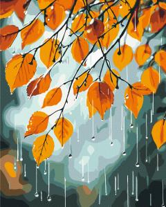 Set pictura pe numere - Ploaie de toamna