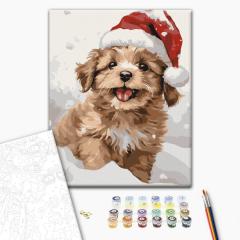 Set pictura pe numere - Catelus in zapada