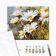 Set pictura pe numere - Crizanteme si capsuni