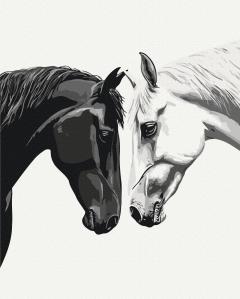 Set pictura pe numere - Intre lumina si intuneric