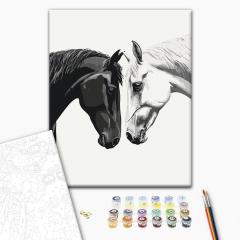 Set pictura pe numere - Intre lumina si intuneric