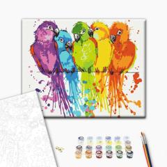 Set pictura pe numere - Papagali plini de culoare