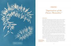 Anna Atkins: Photographer, Naturalist, Innovator