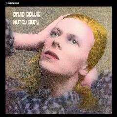 Hunky Dory - Vinyl