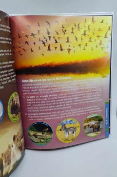 Enciclopedia Copiilor. Stiinta