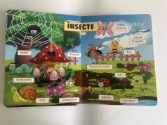 Invat engleza. Dictionar ilustrat