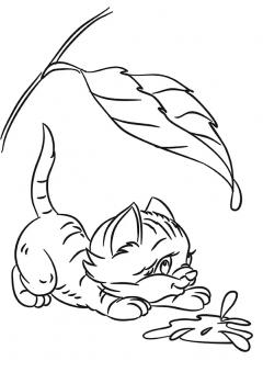 Haideti sa coloram - Pentru fetite