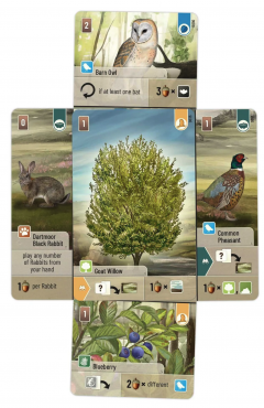 Joc de societate - Forest Shuffle: Dartmoor (EN)