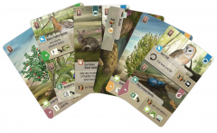 Joc de societate - Forest Shuffle: Dartmoor (EN)