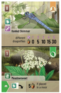 Joc de societate - Forest Shuffle: Dartmoor (EN)