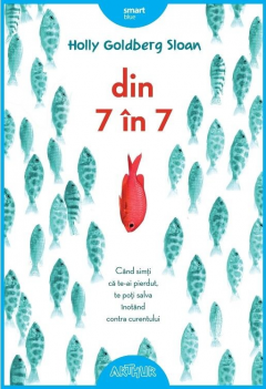Din 7 in 7