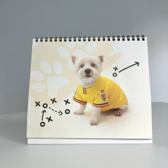 Calendar de birou 2026 - Tricolorii