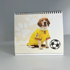 Calendar de birou 2026 - Tricolorii