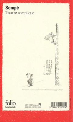 Tout se complique (Edition collector)