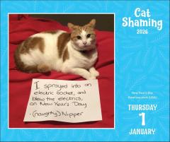 Calendar 2026 - Cat Shaming