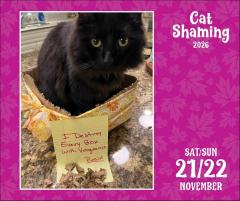 Calendar 2026 - Cat Shaming