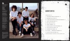 The Cure: A Perfect Dream