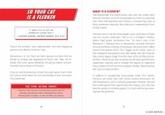 So You've Been Bitten by a Radioactive Spider