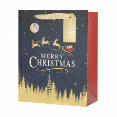 Punga cadou - Holografica (patru modele - pret pe bucata)