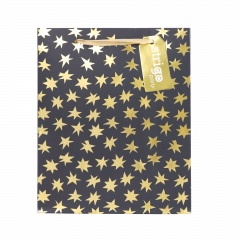 Punga cadou - Holografica (patru modele - pret pe bucata)