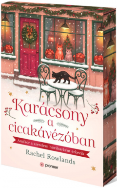 Karacsony a cicakavezoban