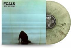 What Went Down (Coke Clear Green / Black Smoke Marbled Vinyl, 10th Anniversary Edition)