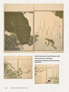 Japan's Manga Revolution