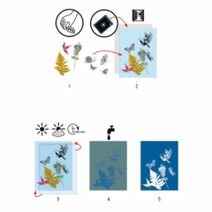 Atelier de creatie - Cianotip