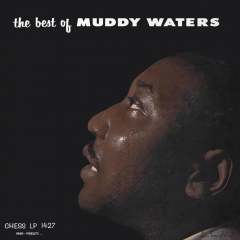 The Best Of Muddy Waters - Vinyl