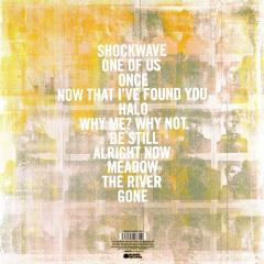 Why Me? Why Not. - Vinyl