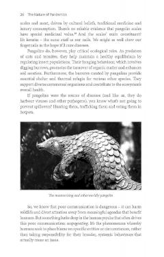 Nature of Pandemics