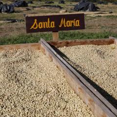 Cafea boabe - Nicaragua Santa Maria Natural