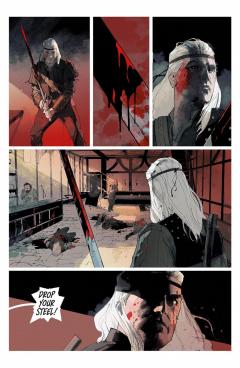 Andrzej Sapkowski's The Witcher