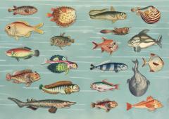 The Curious Collections Sticker Book