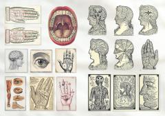 The Curious Collections Sticker Book