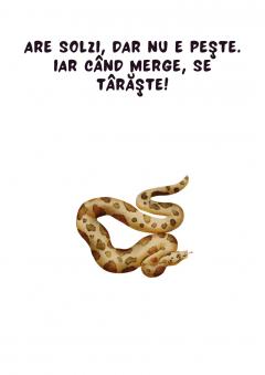 Joc educativ - Ghicitori