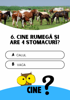 Joc educativ - Cine? Ce? Cum?