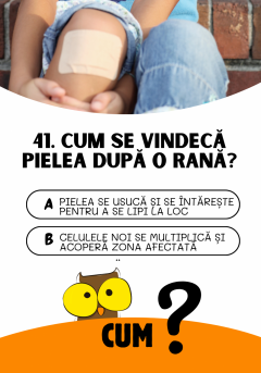 Joc educativ - Cine? Ce? Cum?