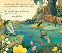 Lili mica sirena din lac