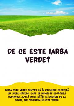 Joc educativ - De ce? De ce? De ce?