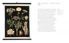 Art of Botanical Painting