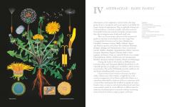 Art of Botanical Painting