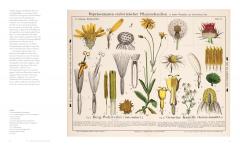 Art of Botanical Painting