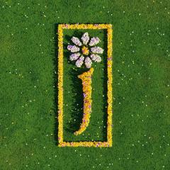 Nothing But Love - The Definitive Best Of (2xVinyl)